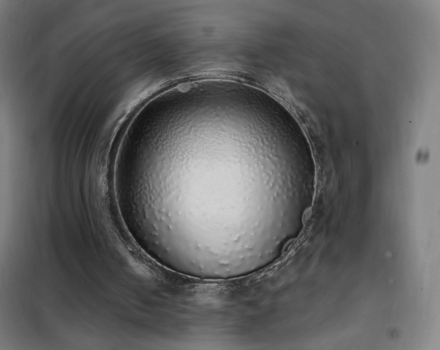 X0000102290050200807251431
