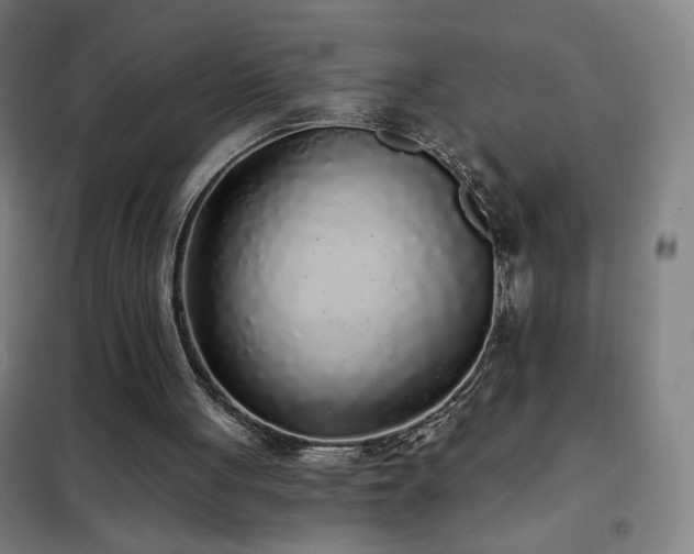 X0000102290051200807251431
