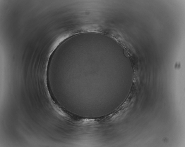 X0000102290052200807251431
