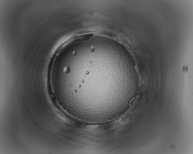 X0000102290054200807251431