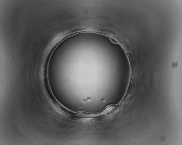 X0000102290055200807251431