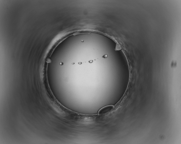 X0000102290056200807251431
