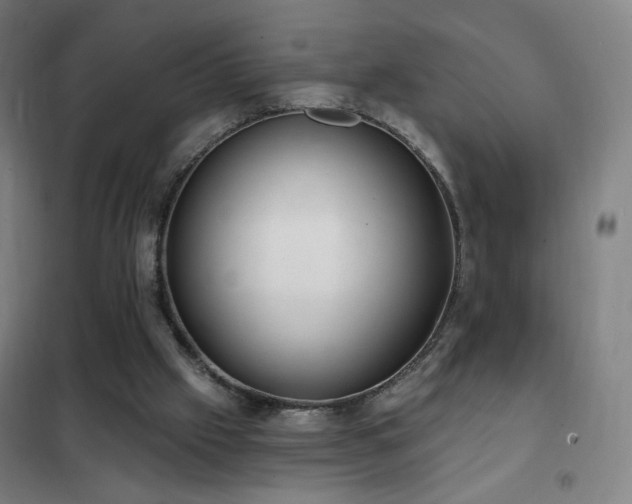 X0000102290057200807251431