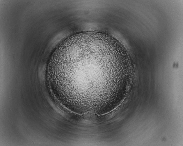 X0000102290058200807251431