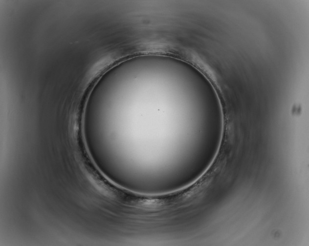 X0000102290059200807251431