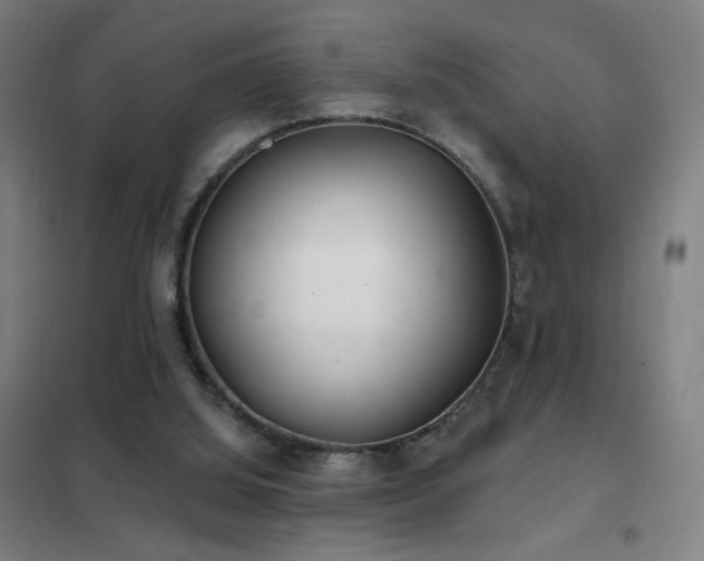 X0000102290060200807251431