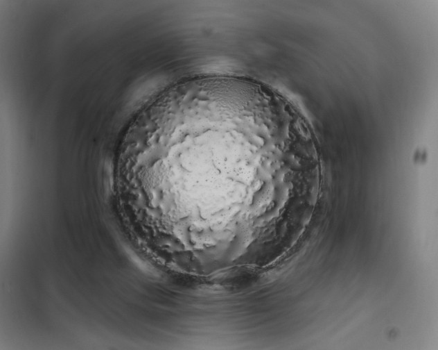 X0000102290061200807251431