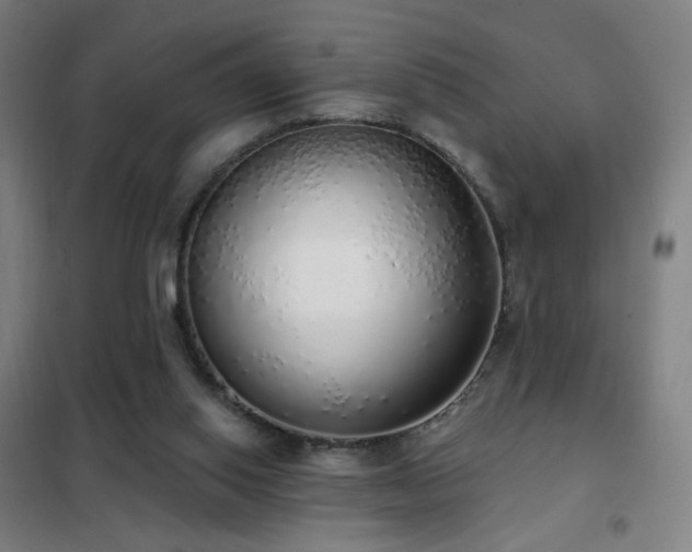 X0000102290062200807251431