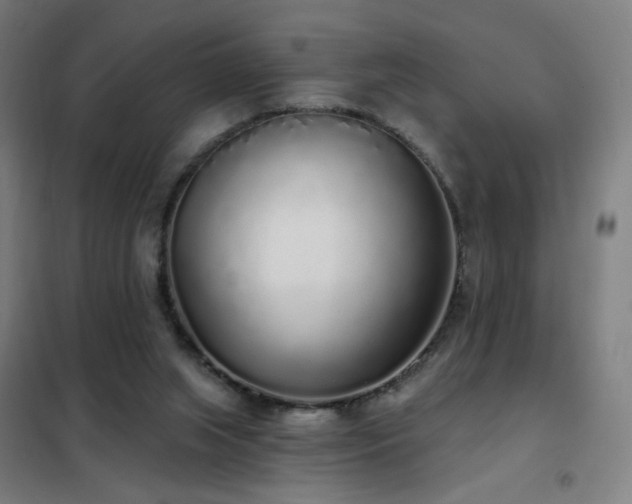 X0000102290063200807251431