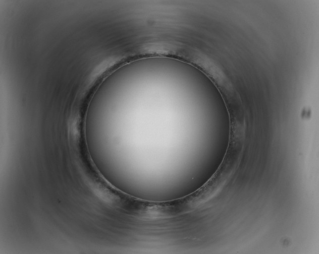 X0000102290064200807251431