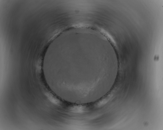 X0000102290065200807251431