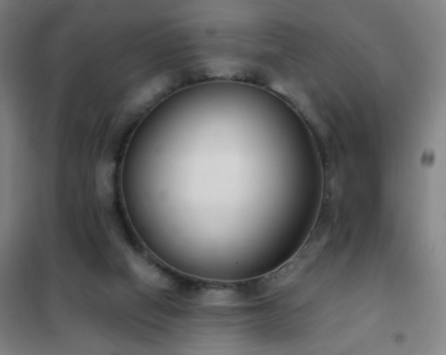 X0000102290066200807251431