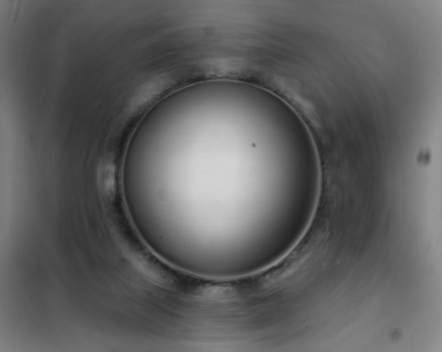 X0000102290067200807251431