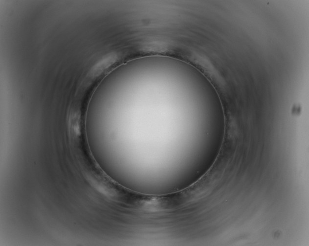 X0000102290068200807251431