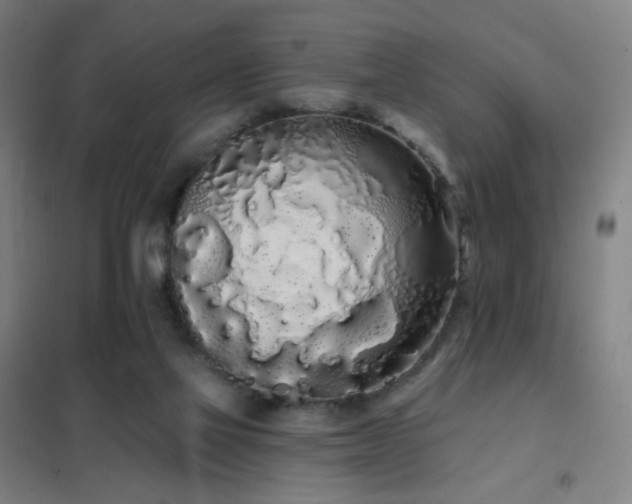 X0000102290069200807251431