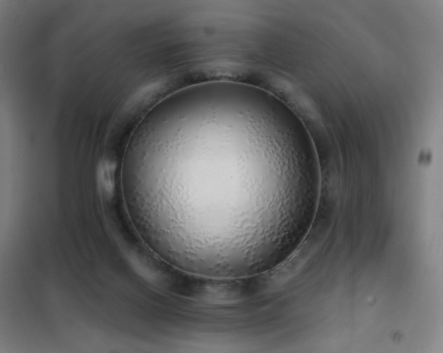 X0000102290070200807251431