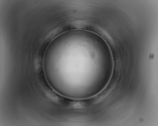 X0000102290073200807251431