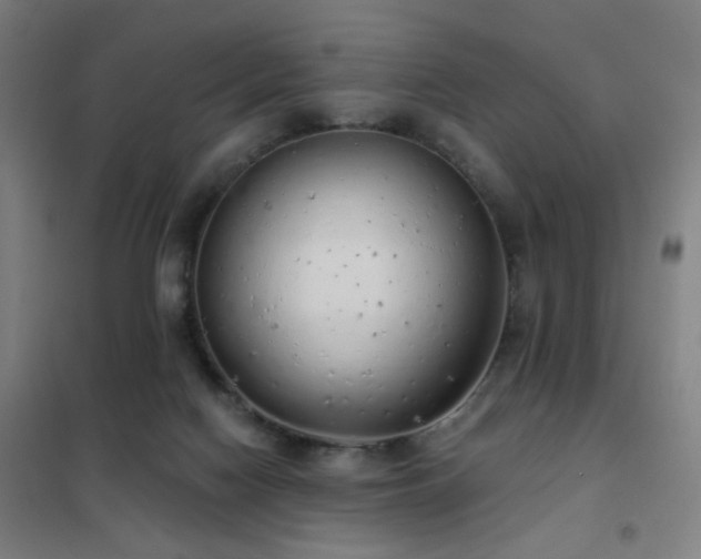 X0000102290074200807251431