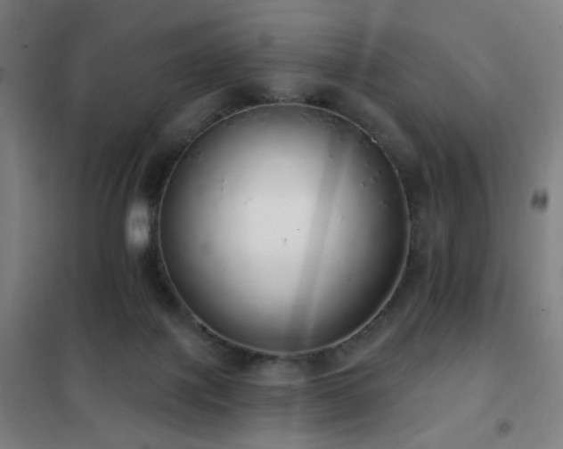 X0000102290075200807251431