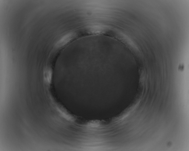 X0000102290076200807251431