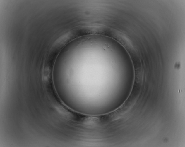 X0000102290077200807251431