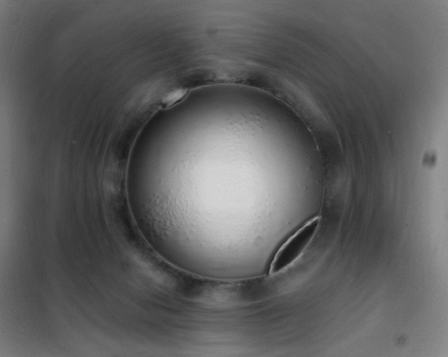 X0000102290078200807251431