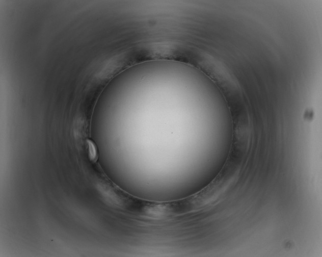 X0000102290079200807251431