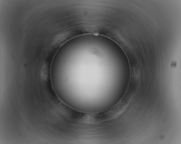 X0000102290080200807251431