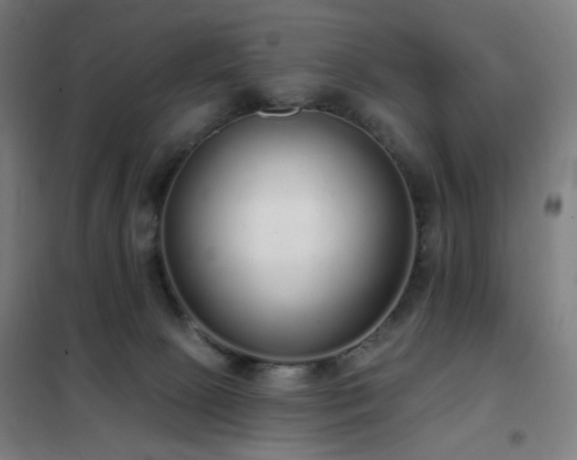 X0000102290081200807251431