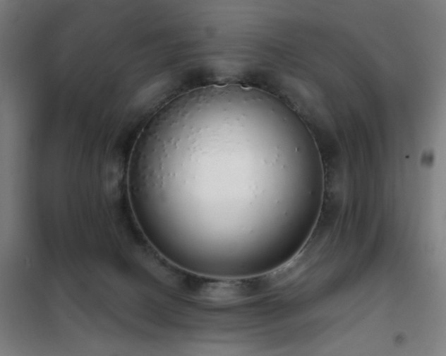 X0000102290082200807251431