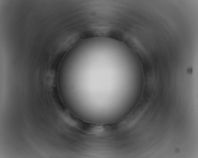X0000102290083200807251431
