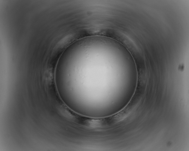 X0000102290085200807251431