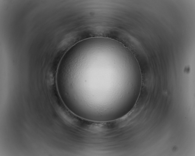 X0000102290086200807251431