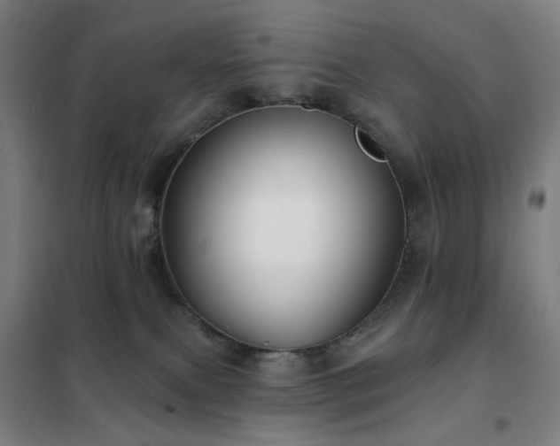 X0000102290087200807251431