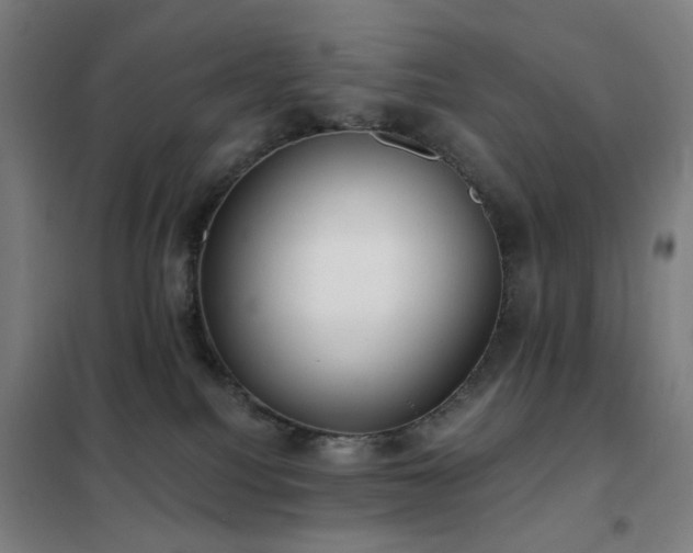 X0000102290088200807251431