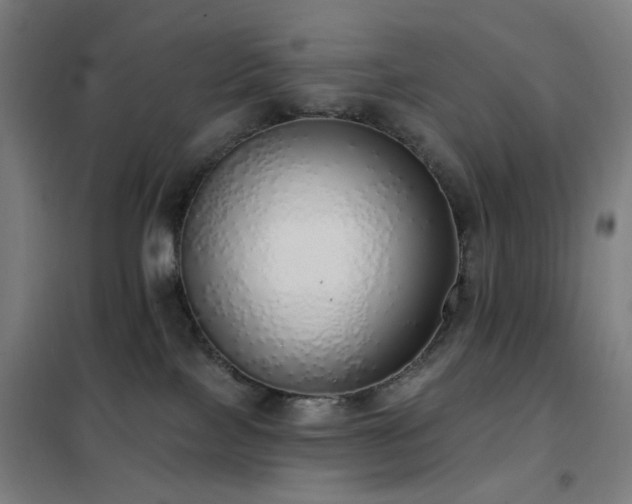 X0000102290089200807251432