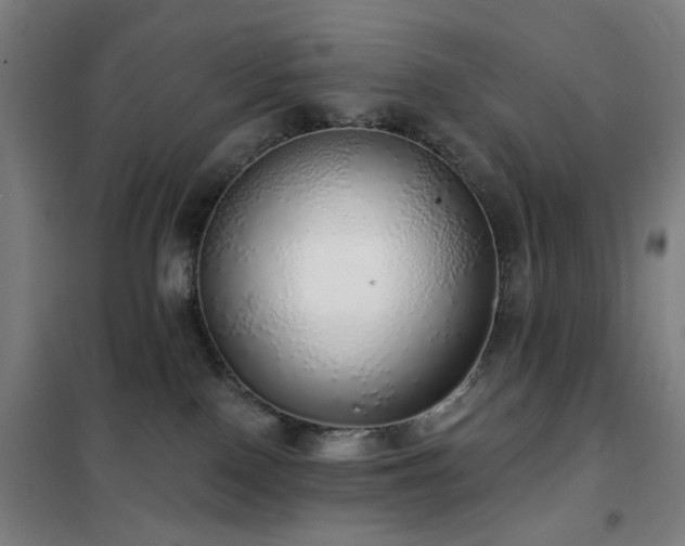 X0000102290090200807251432