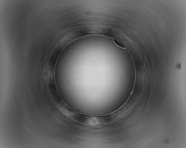 X0000102290091200807251432