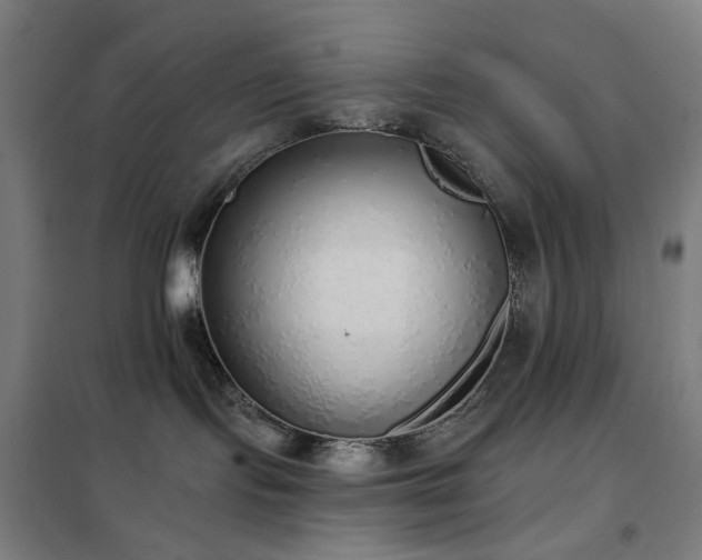 X0000102290095200807251432