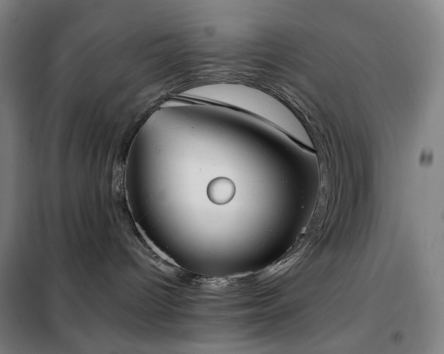 X0000102290096200807251432