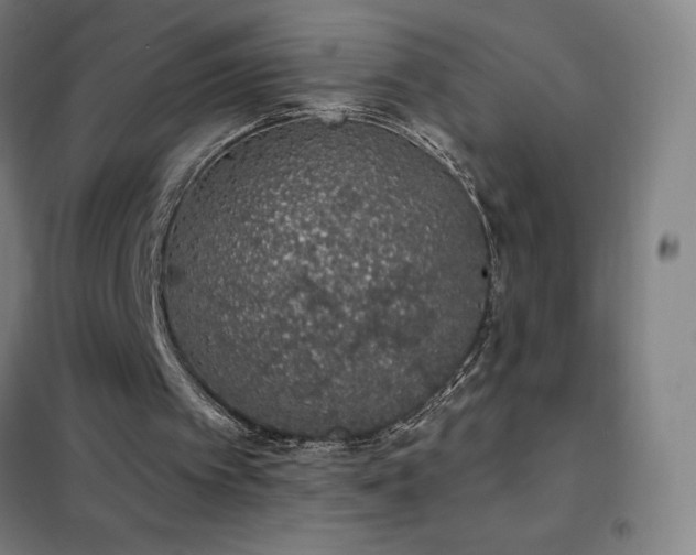 X0000102290097200807251431