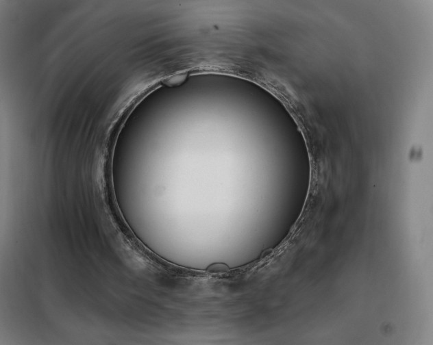 X0000102290098200807251431