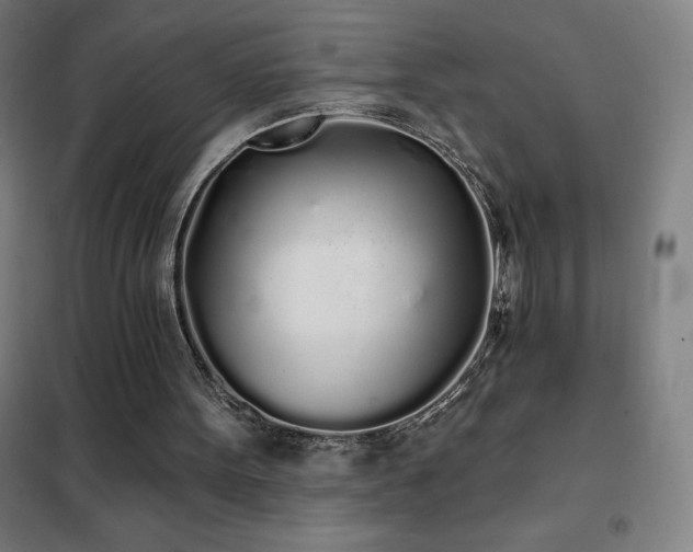 X0000102290099200807251431