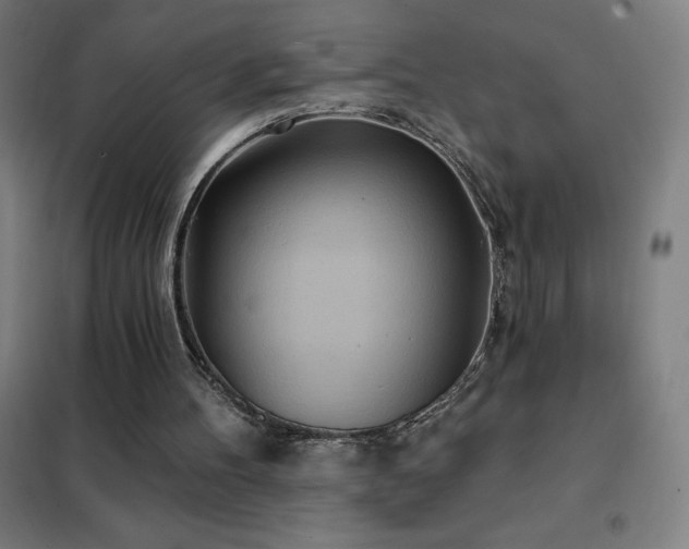 X0000102290100200807251431