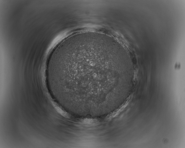 X0000102290101200807251431