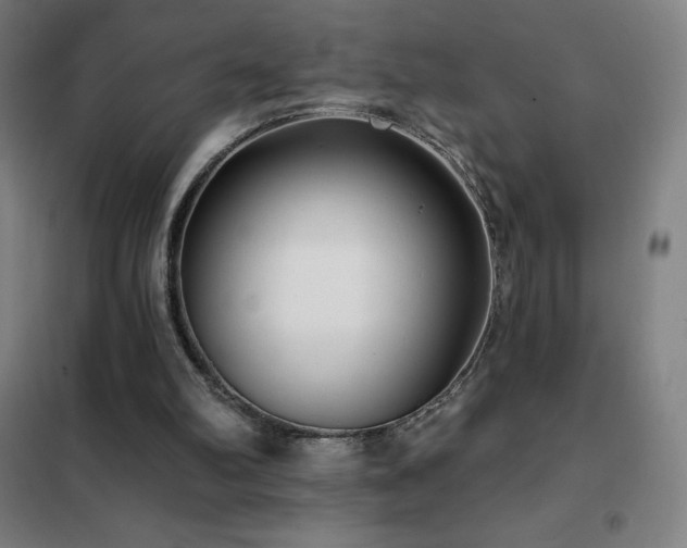 X0000102290102200807251431