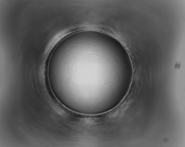 X0000102290103200807251431
