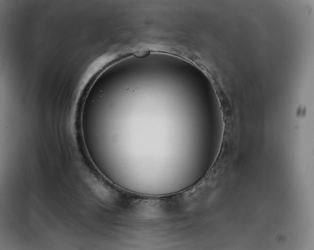 X0000102290104200807251431