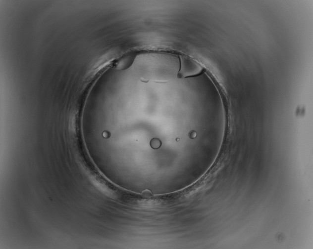 X0000102290105200807251431