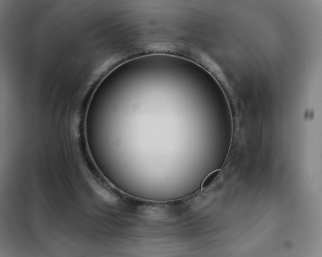 X0000102290106200807251431